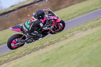 PJ-Motorsport-2019;anglesey-no-limits-trackday;anglesey-photographs;anglesey-trackday-photographs;enduro-digital-images;event-digital-images;eventdigitalimages;no-limits-trackdays;peter-wileman-photography;racing-digital-images;trac-mon;trackday-digital-images;trackday-photos;ty-croes